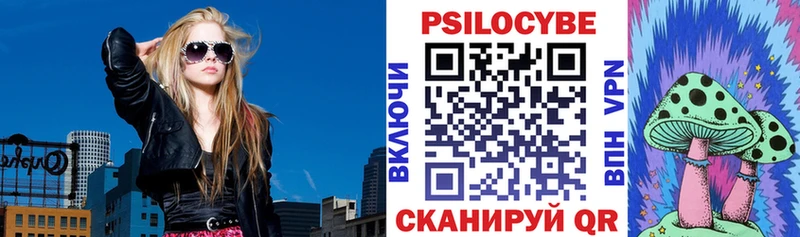 Псилоцибиновые грибы Psilocybe Котельники